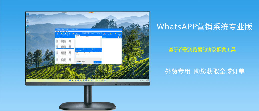 WhatsApp营销系统